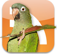 Bloggum - weblog module